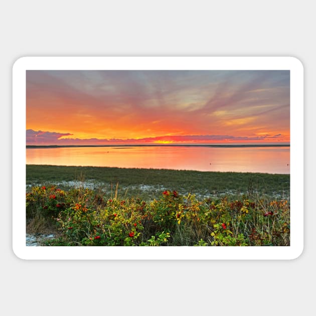 Chatham MA Cape Cod Sunrise Beach Sticker by WayneOxfordPh